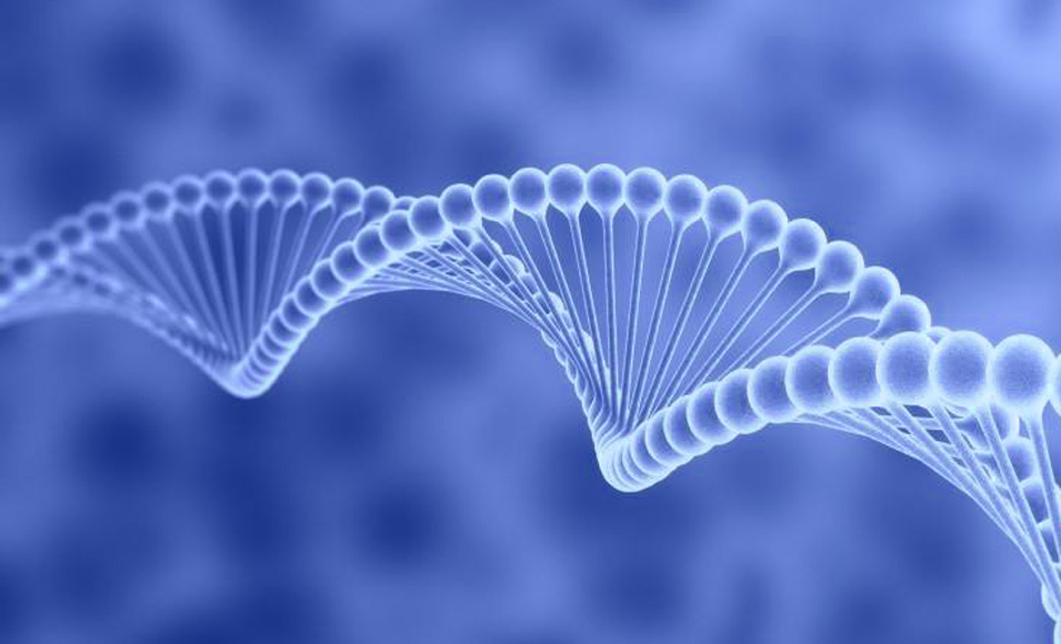 生物科技公司logo设计中的色彩运用_昆明logo设计 a955.jpg
