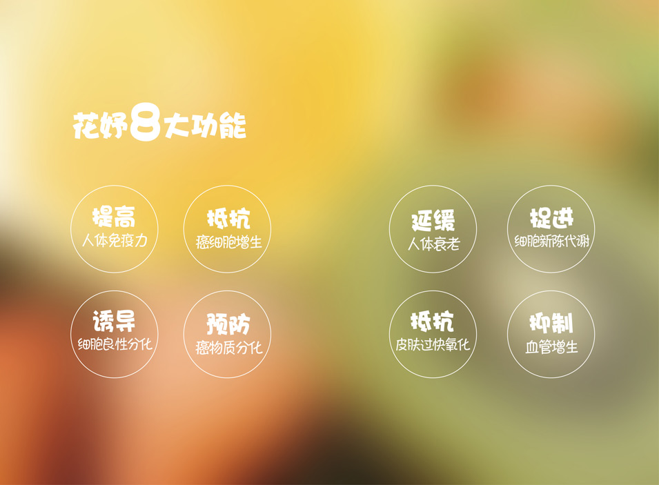 云南瑞宝生物科技股份有限公司花妤维生素功能型鲜榨果汁饮料品牌宣传画册整合设计 云南瑞宝生物科技股份有限公司花妤维生素功能型鲜榨果汁饮料品牌宣传画册整合设计