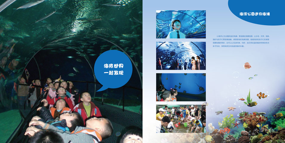湾仔巴士儿童娱游乐园品牌宣传画册整合设计 湾仔巴士儿童娱游乐园品牌宣传画册整合设计