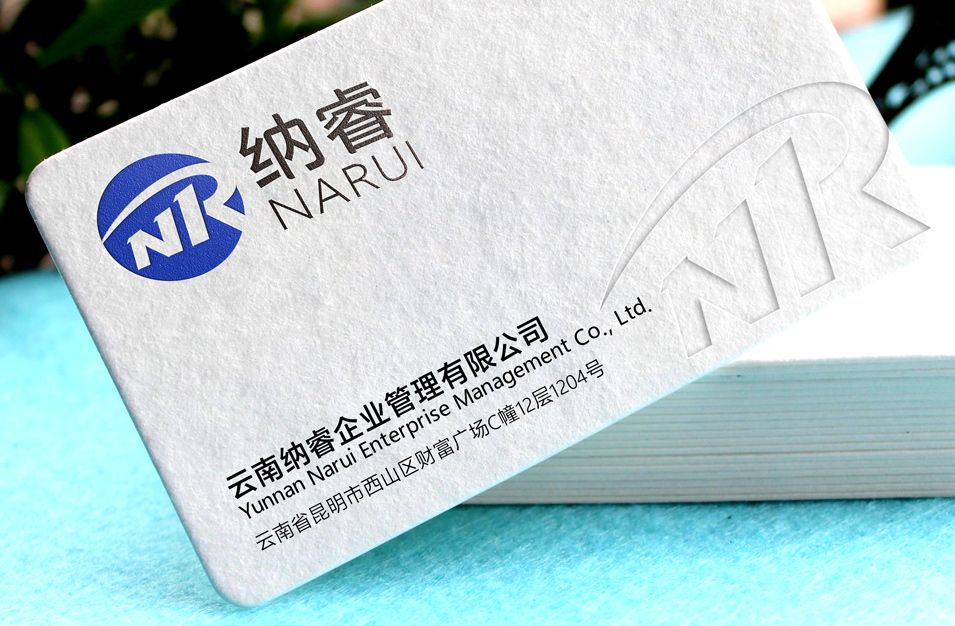云南纳睿企业管理有限公司LOGO设计VI设计.jpg 02.jpg