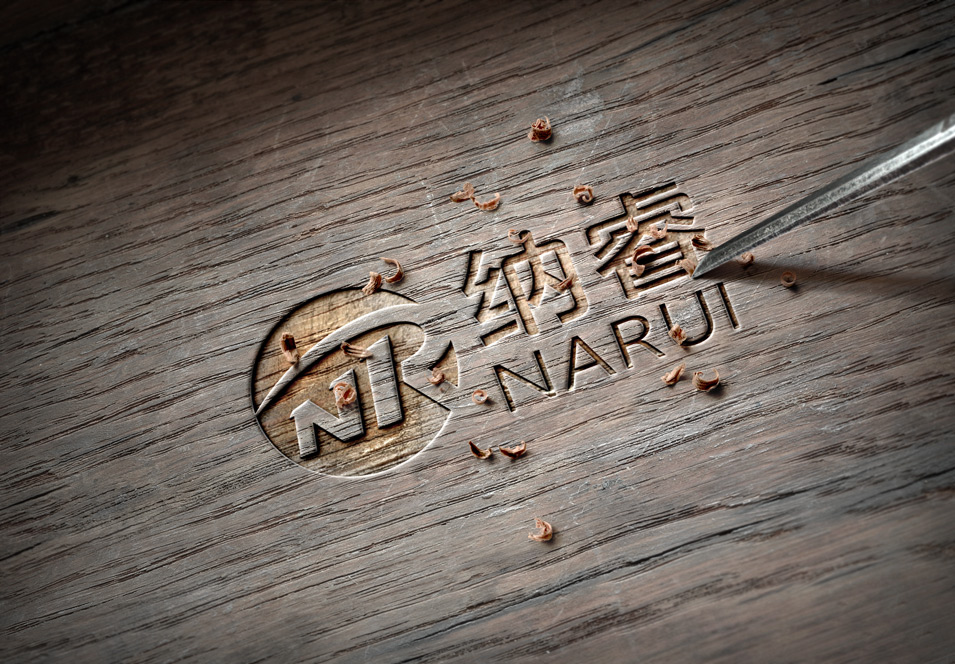 云南纳睿企业管理有限公司LOGO设计VI设计.jpg 03.jpg