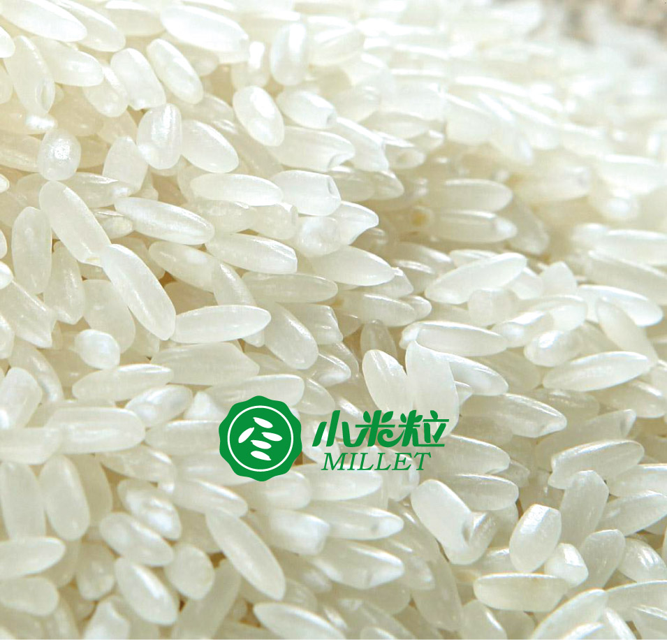 云南小米粒餐饮管理有限公司品牌logoVI设计 云南小米粒餐饮管理有限公司品牌logoVI设计
