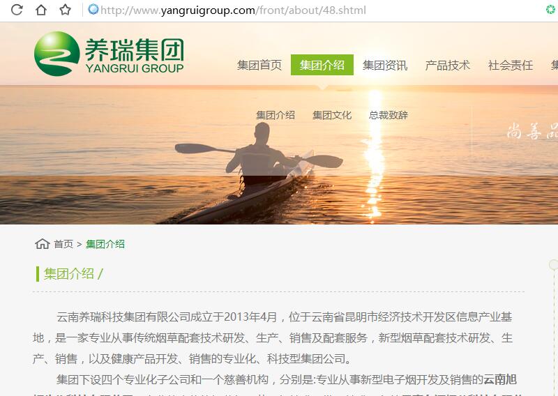 云南养瑞科技集团有限公司品牌logoVIS设计 云南养瑞科技集团有限公司品牌logoVIS设计